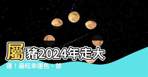 屬豬的幸運色|2024屬豬幾歲、2024屬豬運勢、屬豬幸運色、財位、禁忌